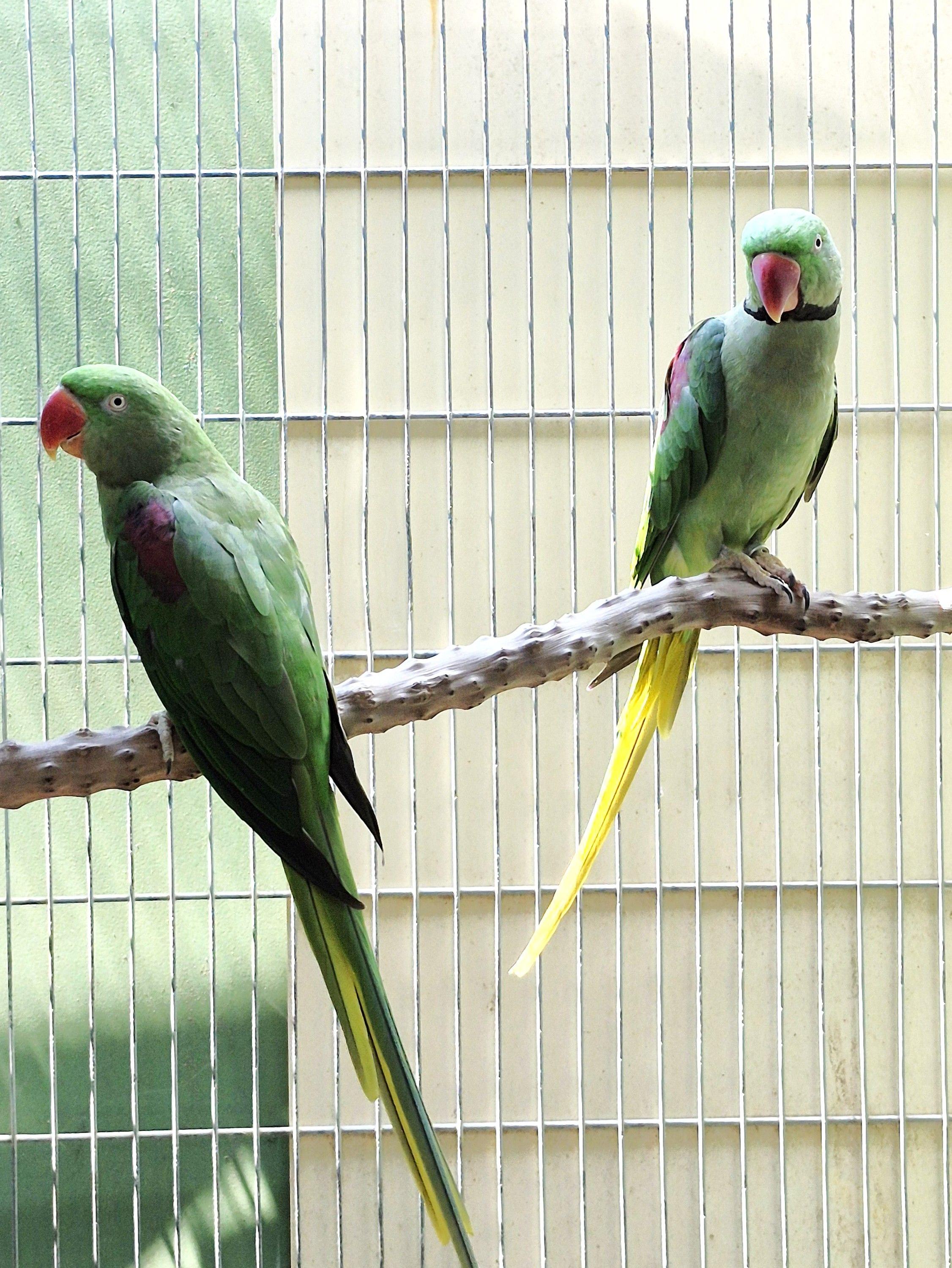 Thumbnail da imagem de Casal Grande Alexandre - 1