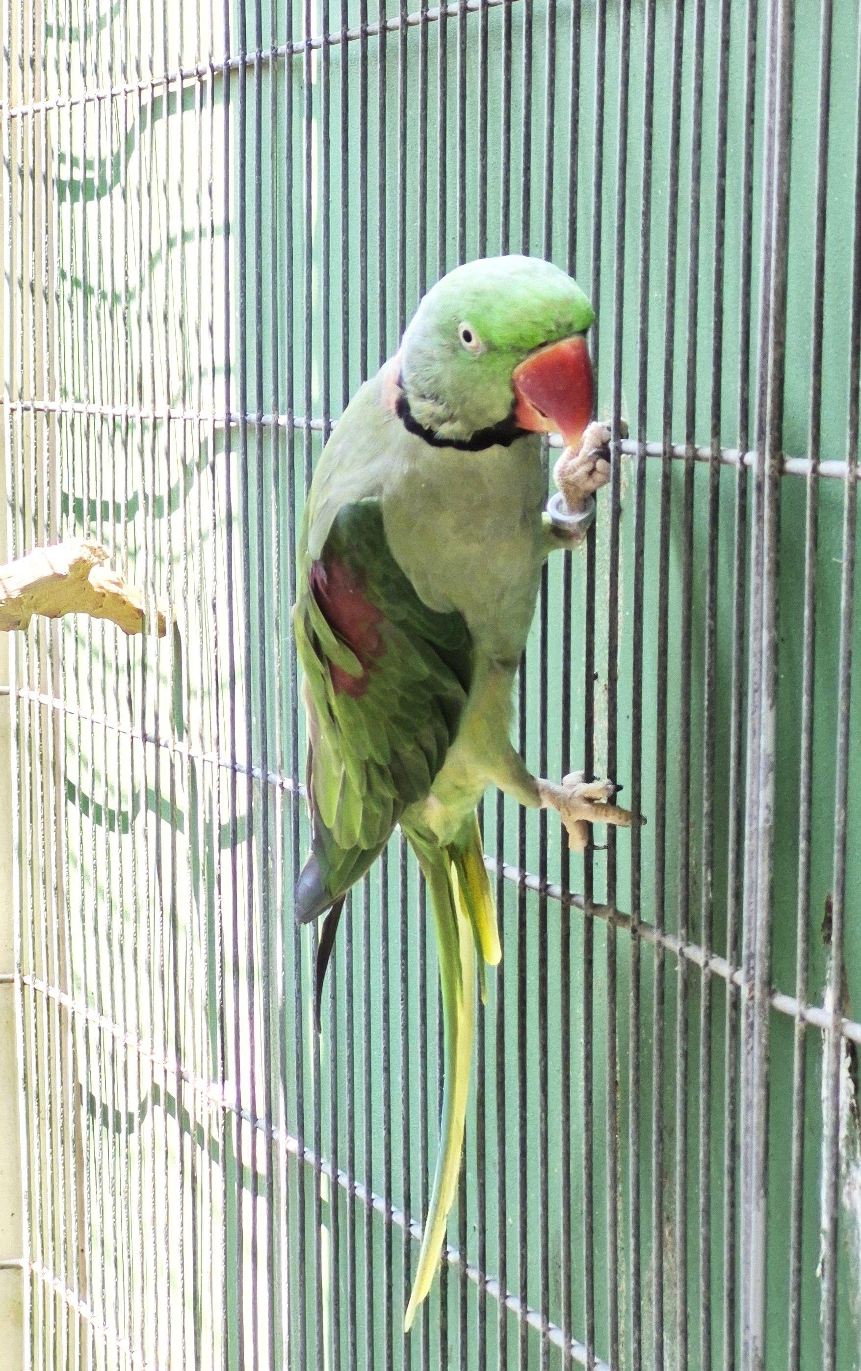 Imagem de Casal Grande Alexandre - 2