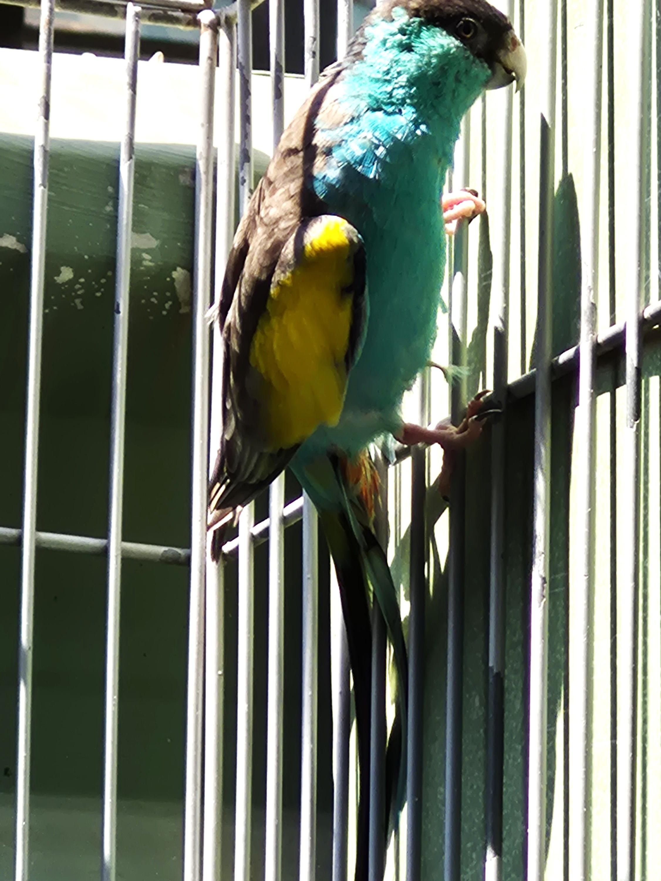 Thumbnail da imagem de Casal Hooded - 2