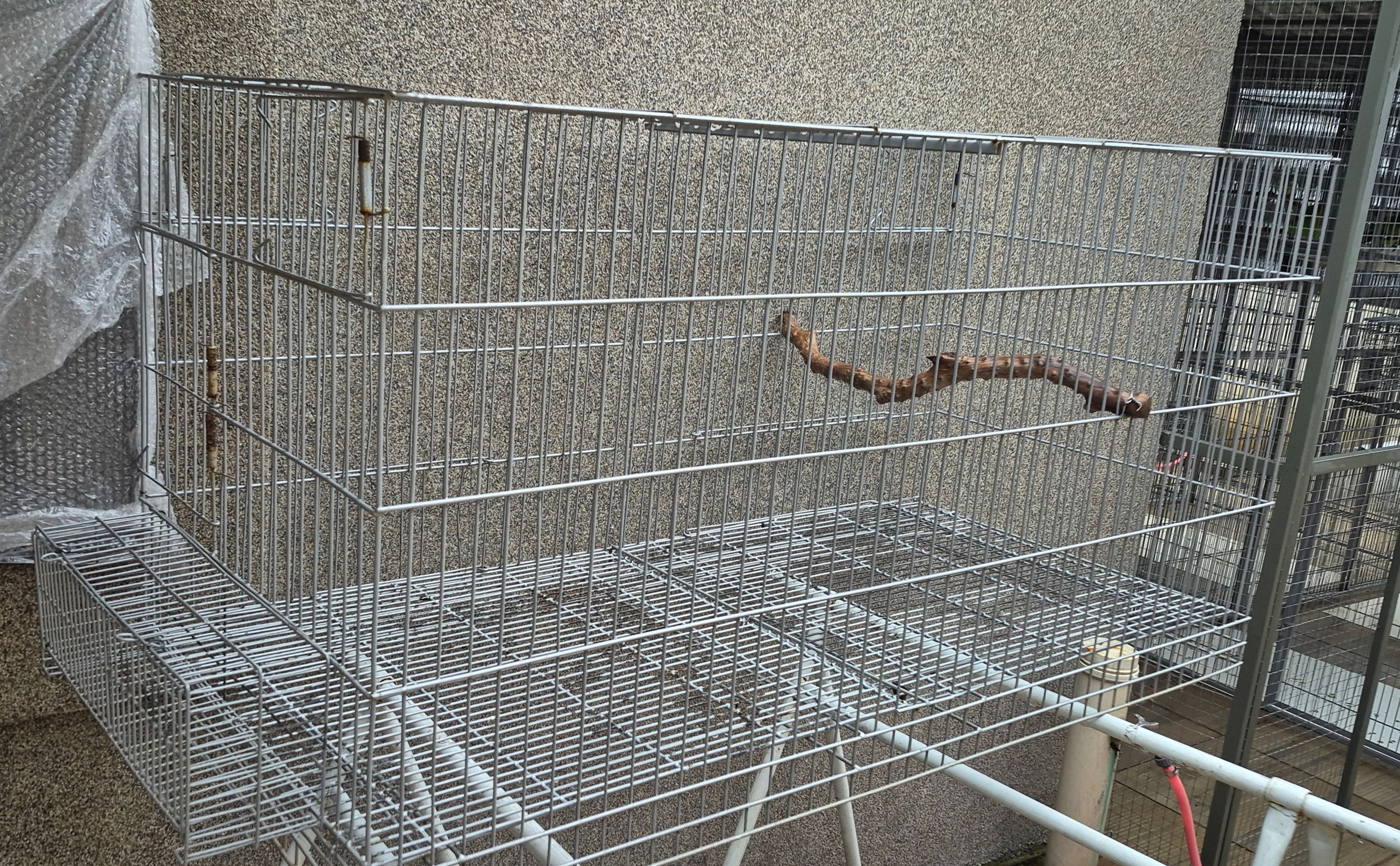 Gaiola para Ringneck