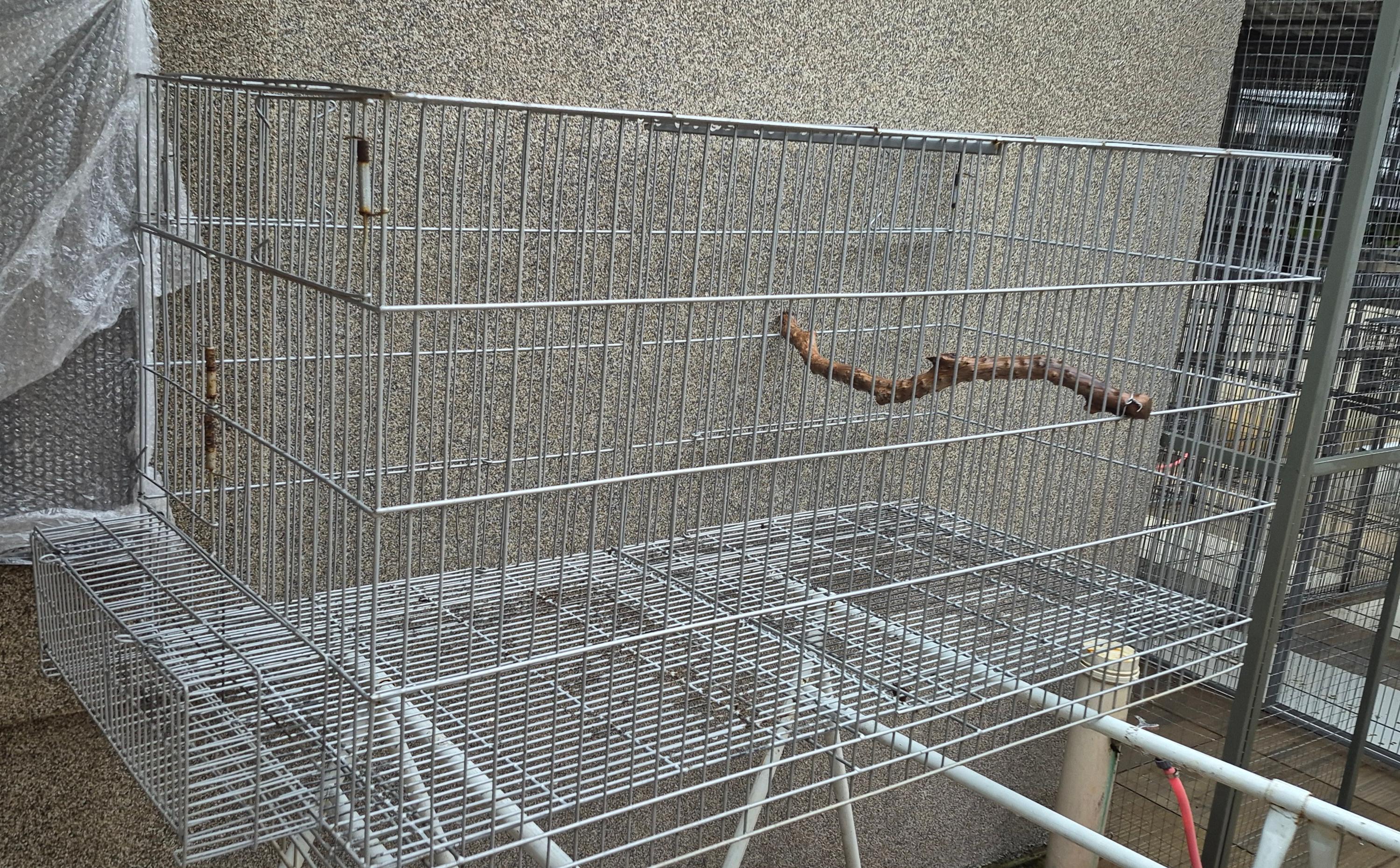 Gaiola para Ringneck