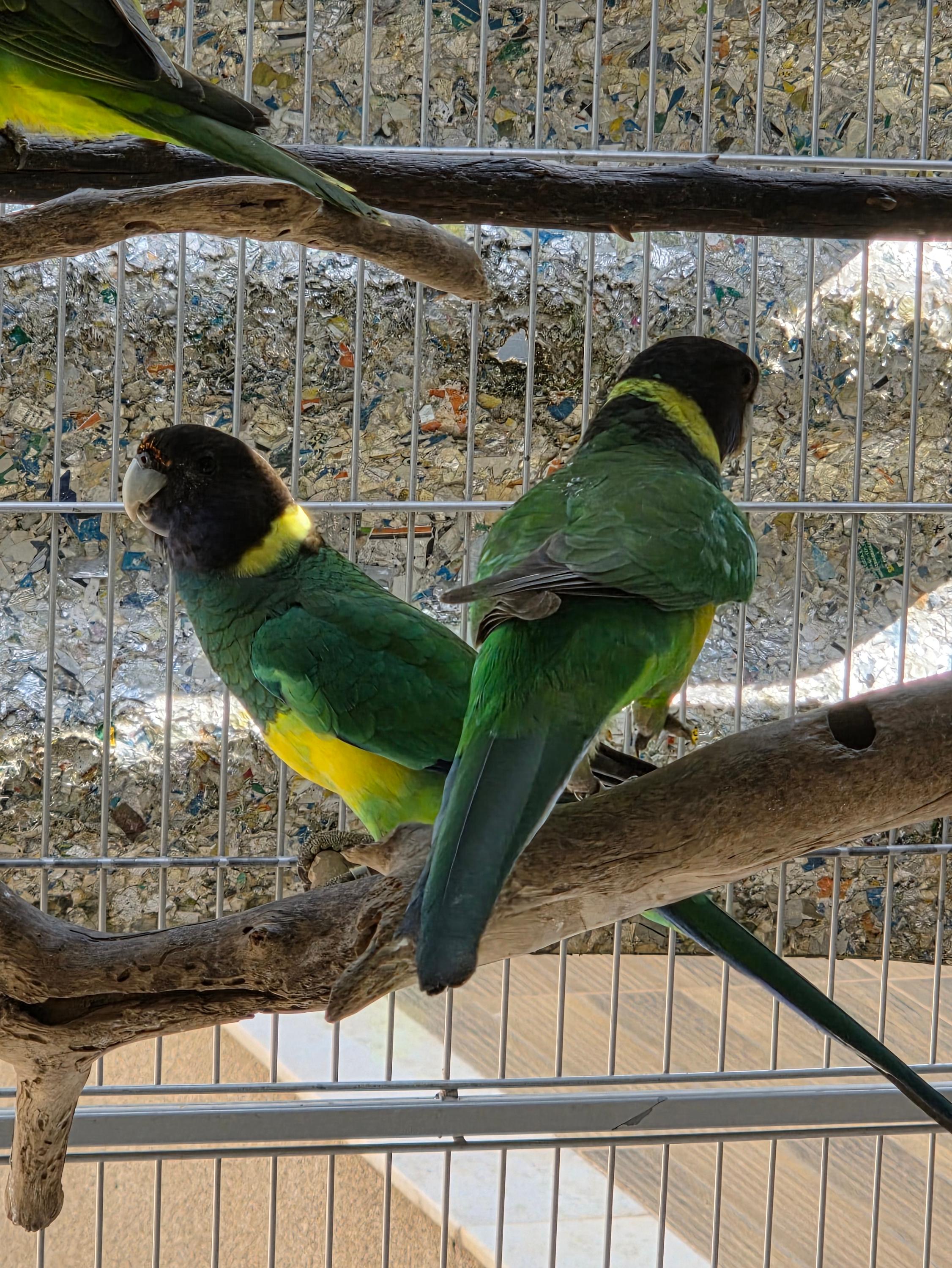 Imagem de Casal Port Lilcon - 0