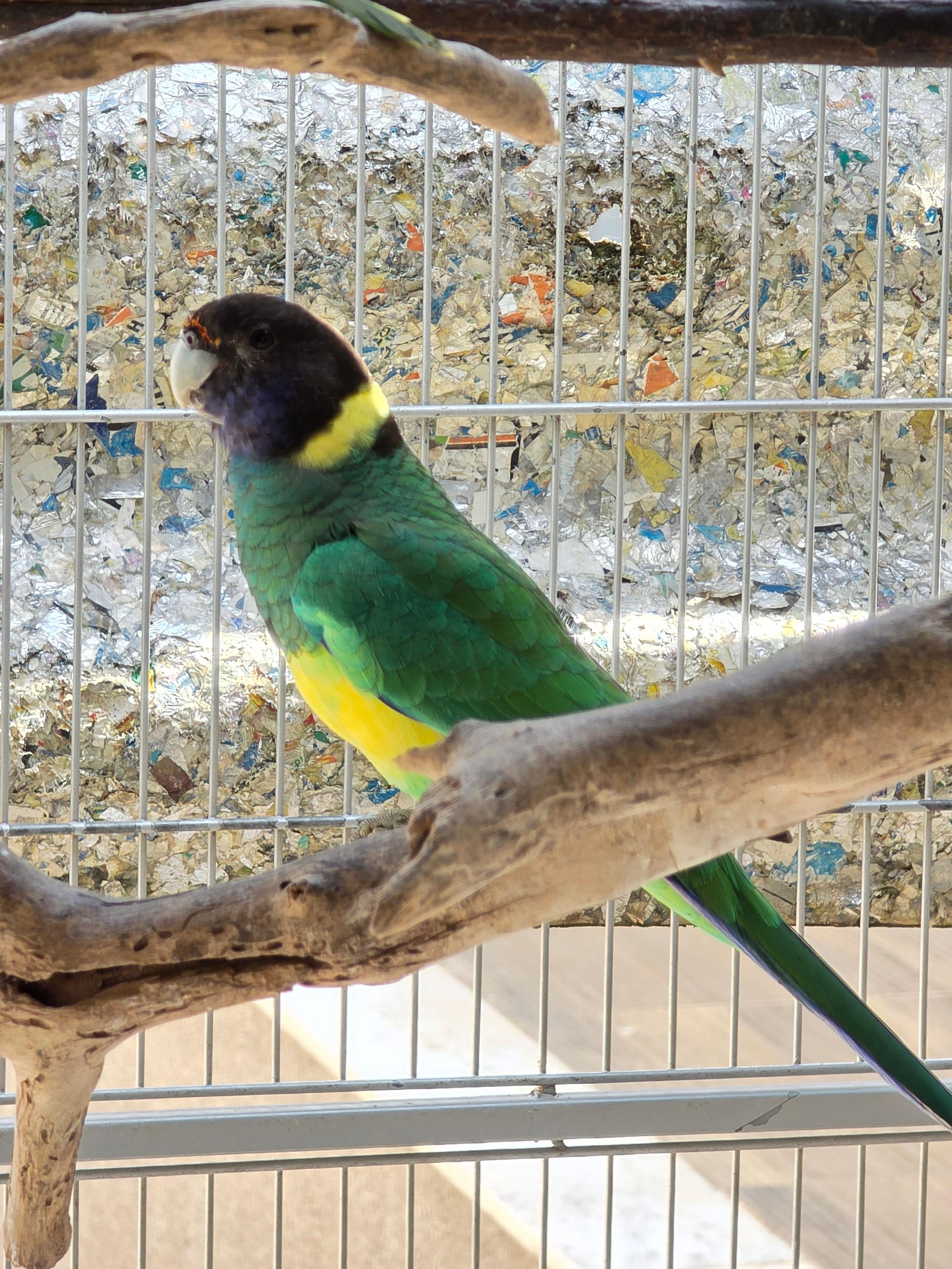 Imagem de Casal Port Lilcon - 1