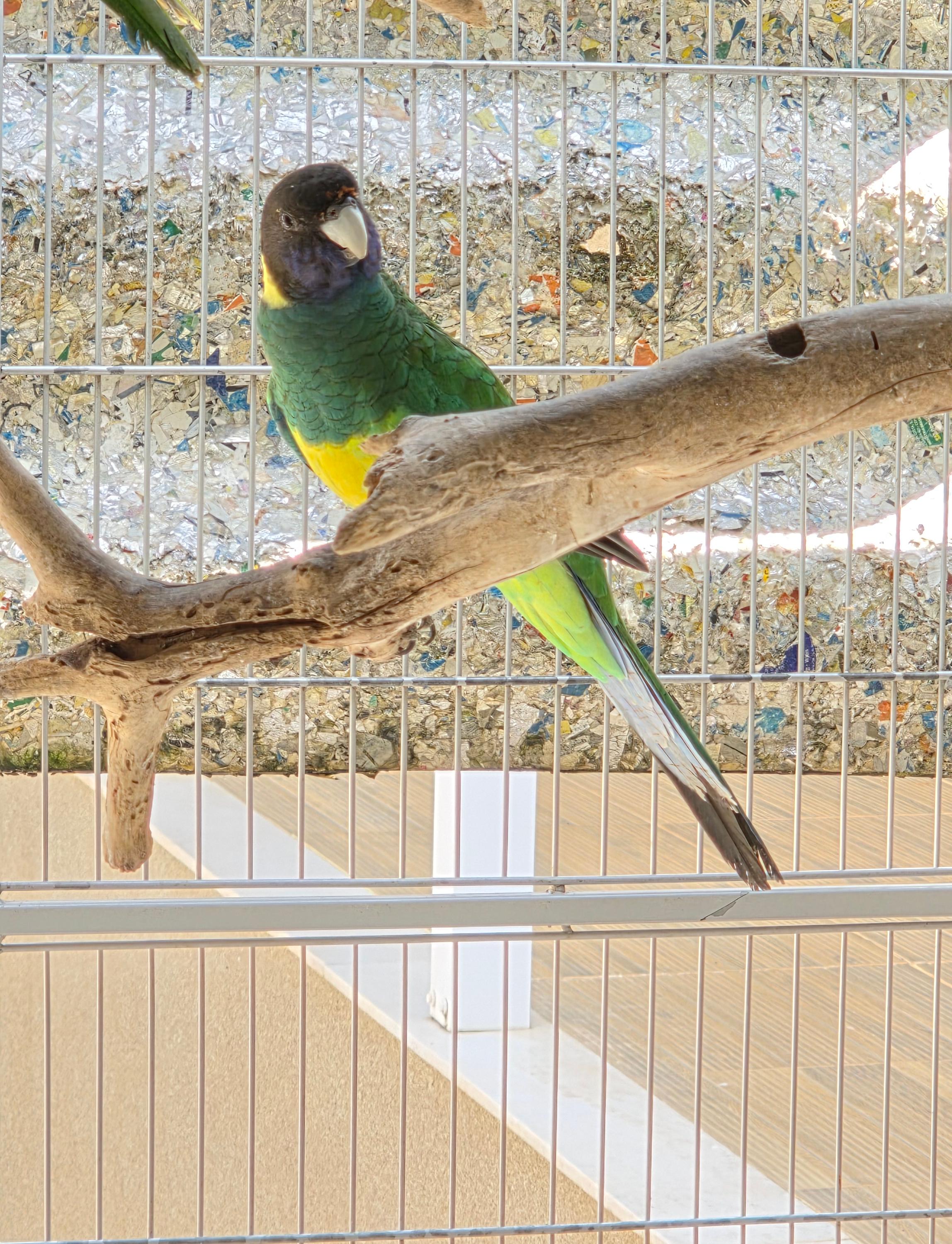 Imagem de Casal Port Lilcon - 2