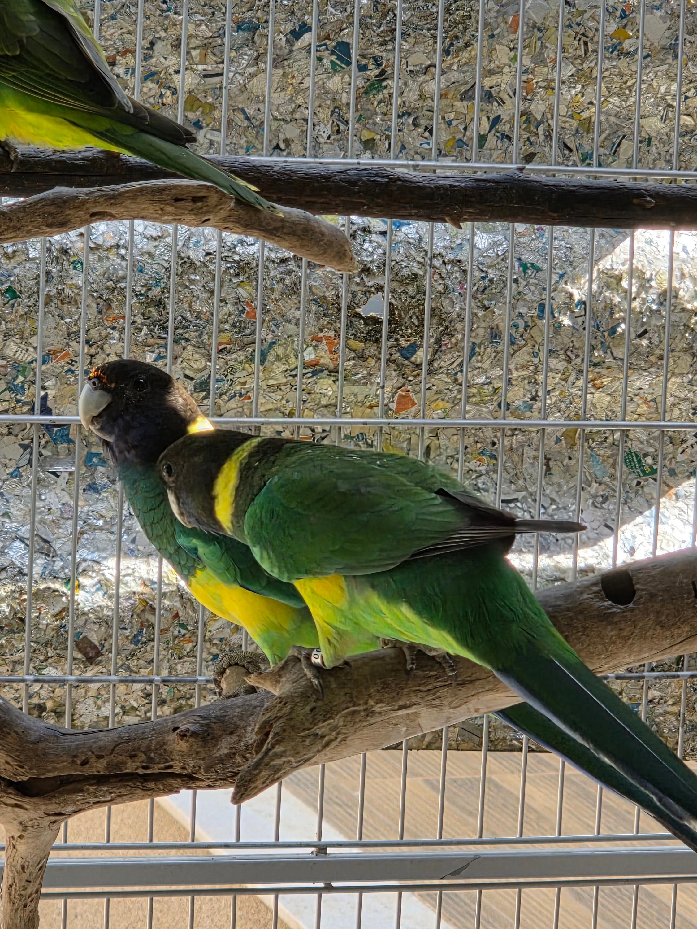 Imagem de Casal Port Lilcon - 3