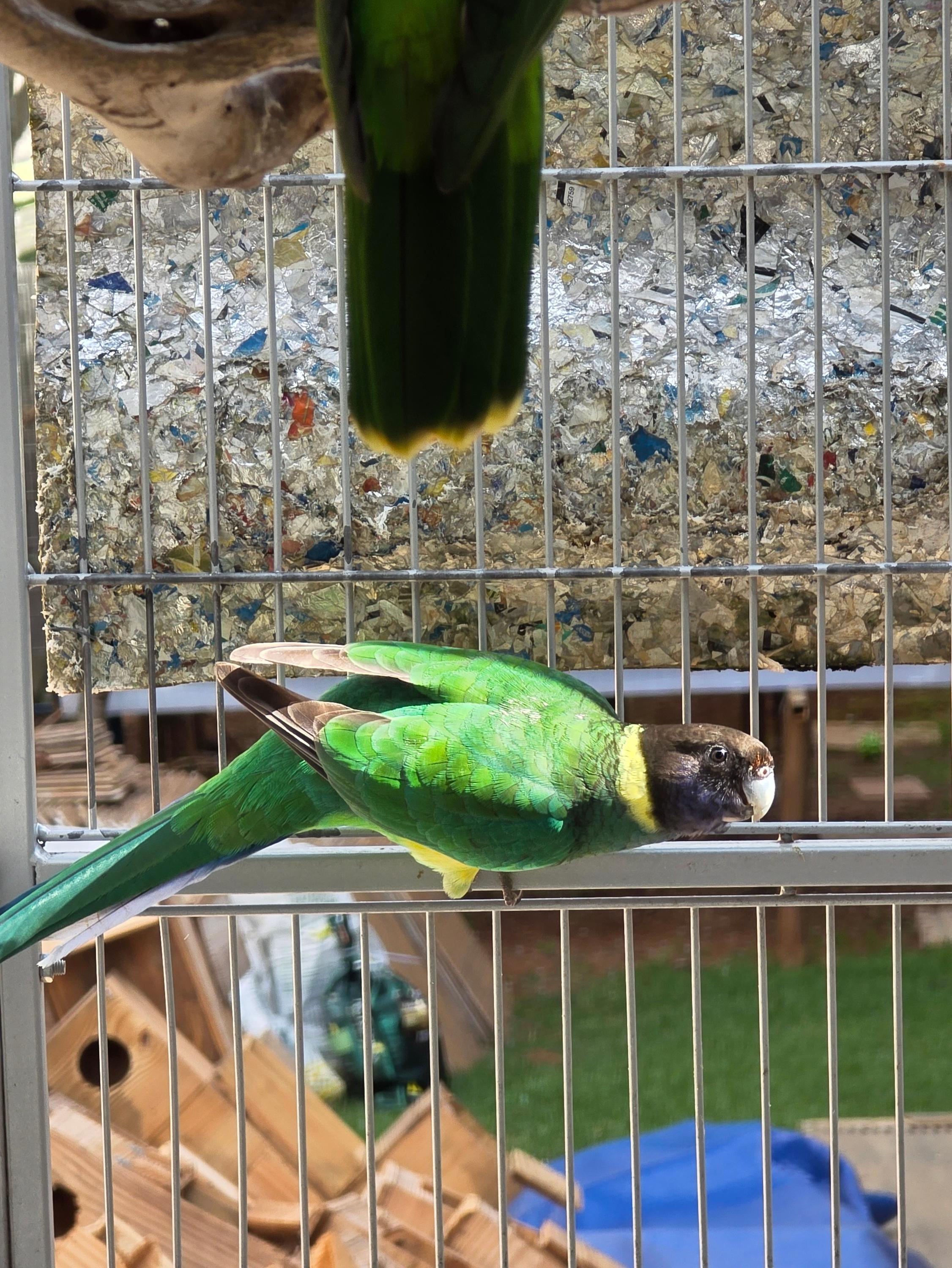 Thumbnail da imagem de Casal Port Lilcon - 4