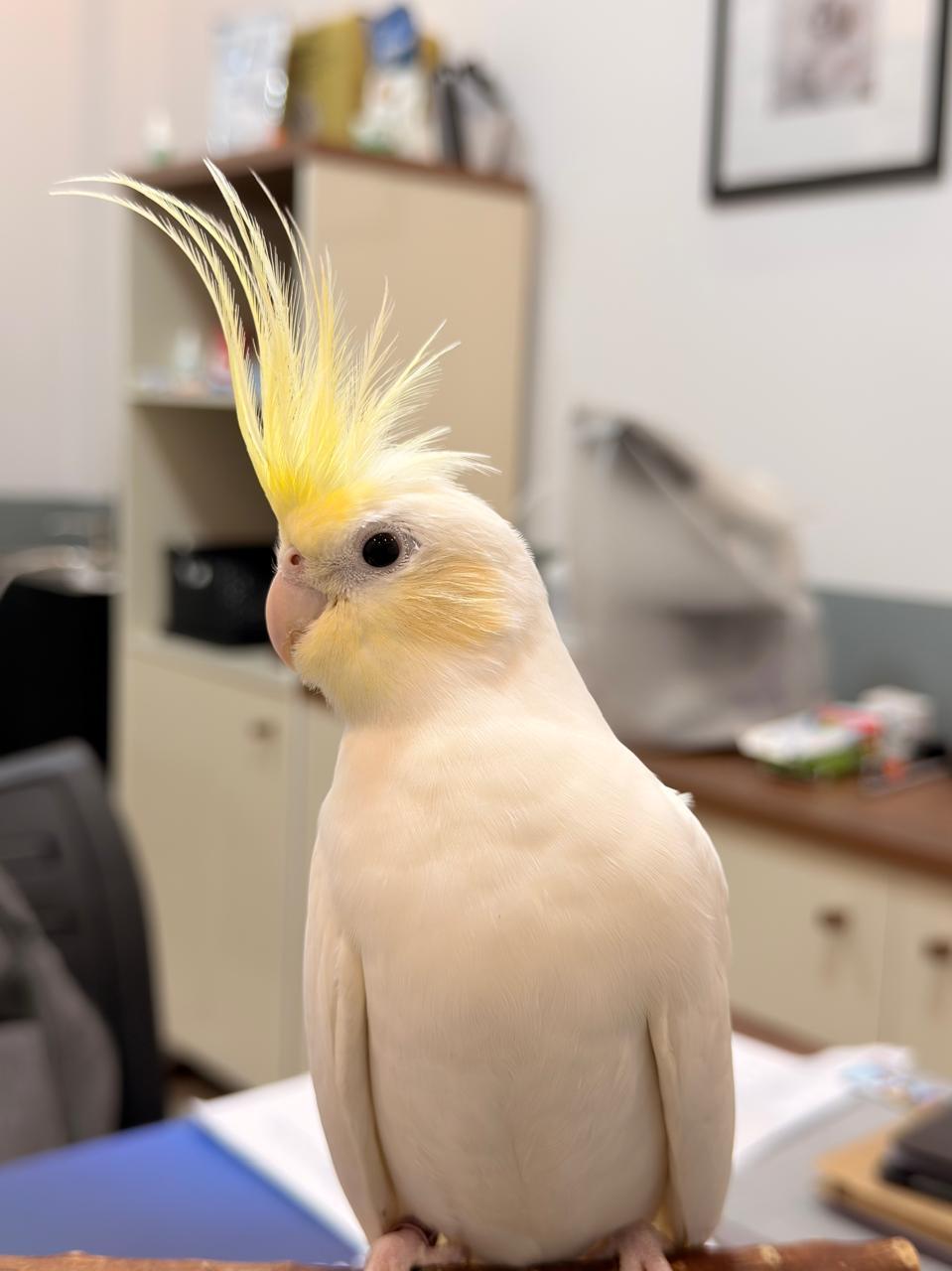 Imagem de Cream Face Clear - 1