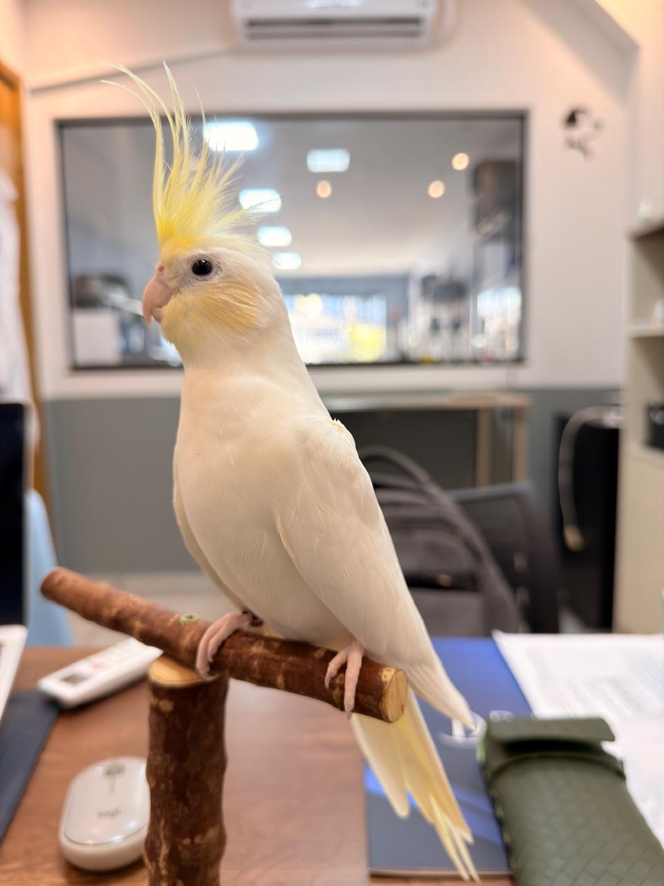 Imagem de Cream Face Clear - 2