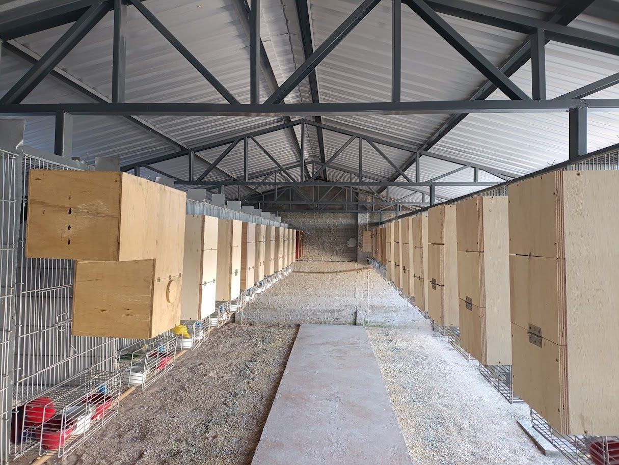 Imagem de perfil de JOSE  AUGUSTO ...CRIATORIO LOPES - 1