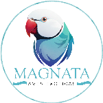 Thumbnail da imagem de perfil de ALEXSANDRO GONÇALVES DE OLIVEIRA - 0