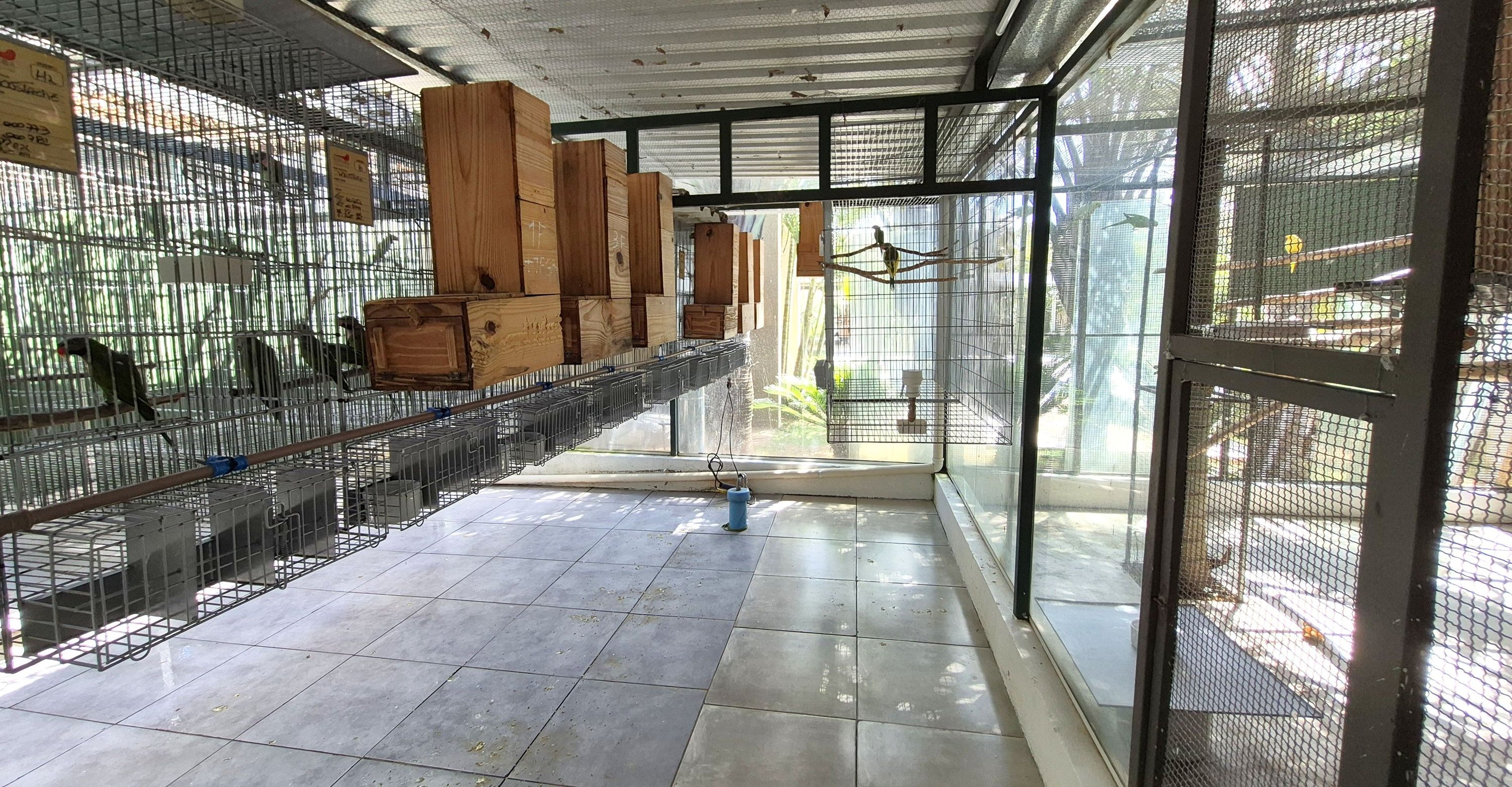 Imagem de perfil de Criadouro Ventura - 1