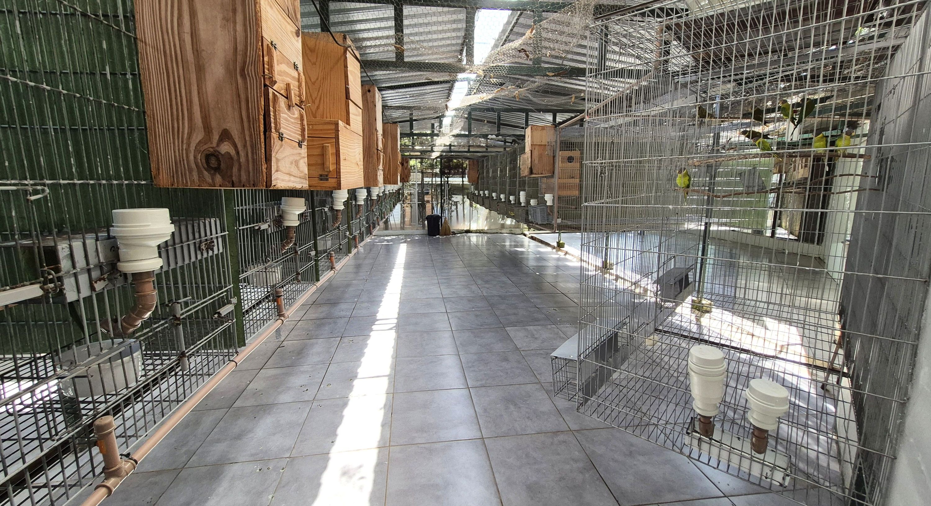 Imagem de perfil de Criadouro Ventura - 2