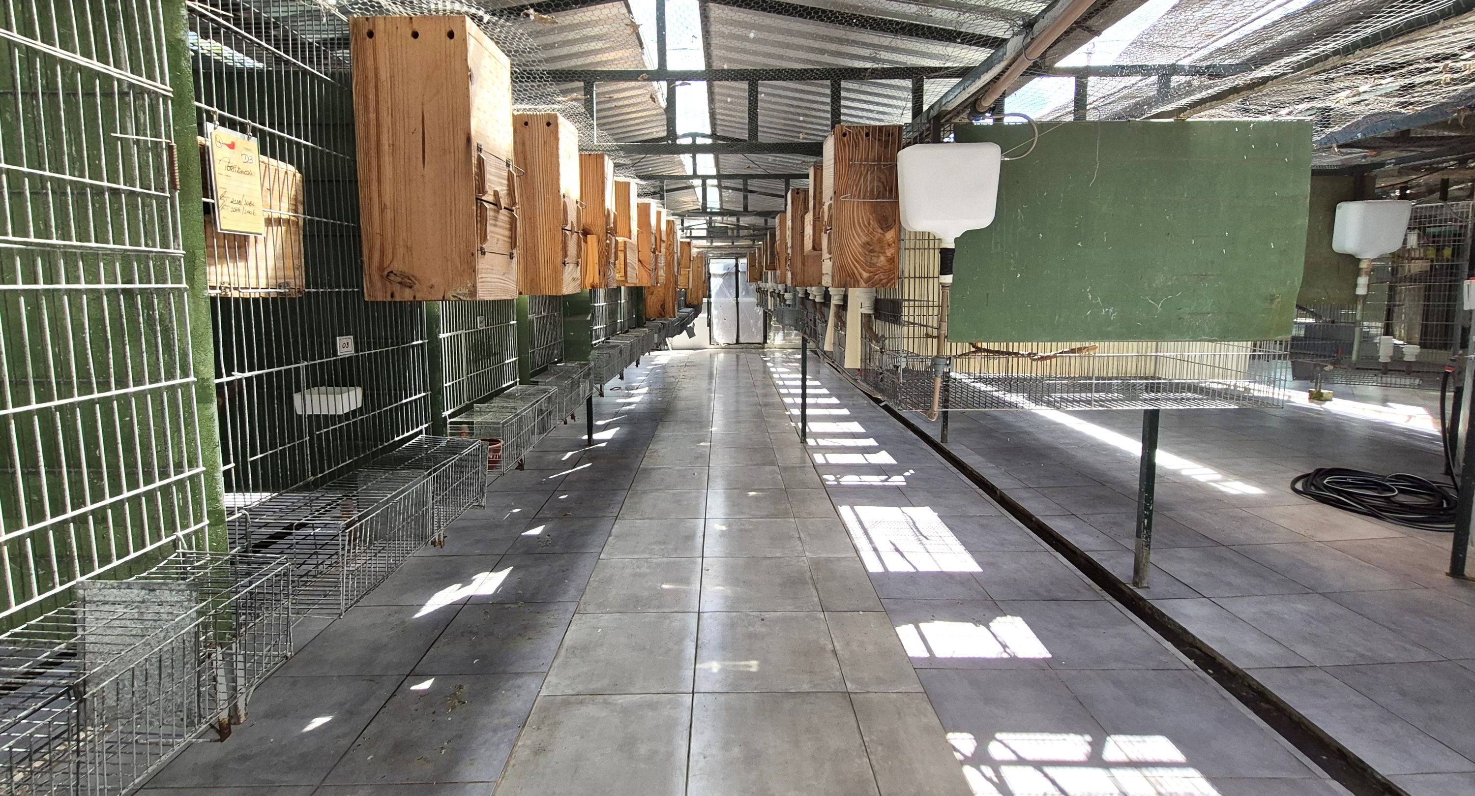 Imagem de perfil de Criadouro Ventura - 3