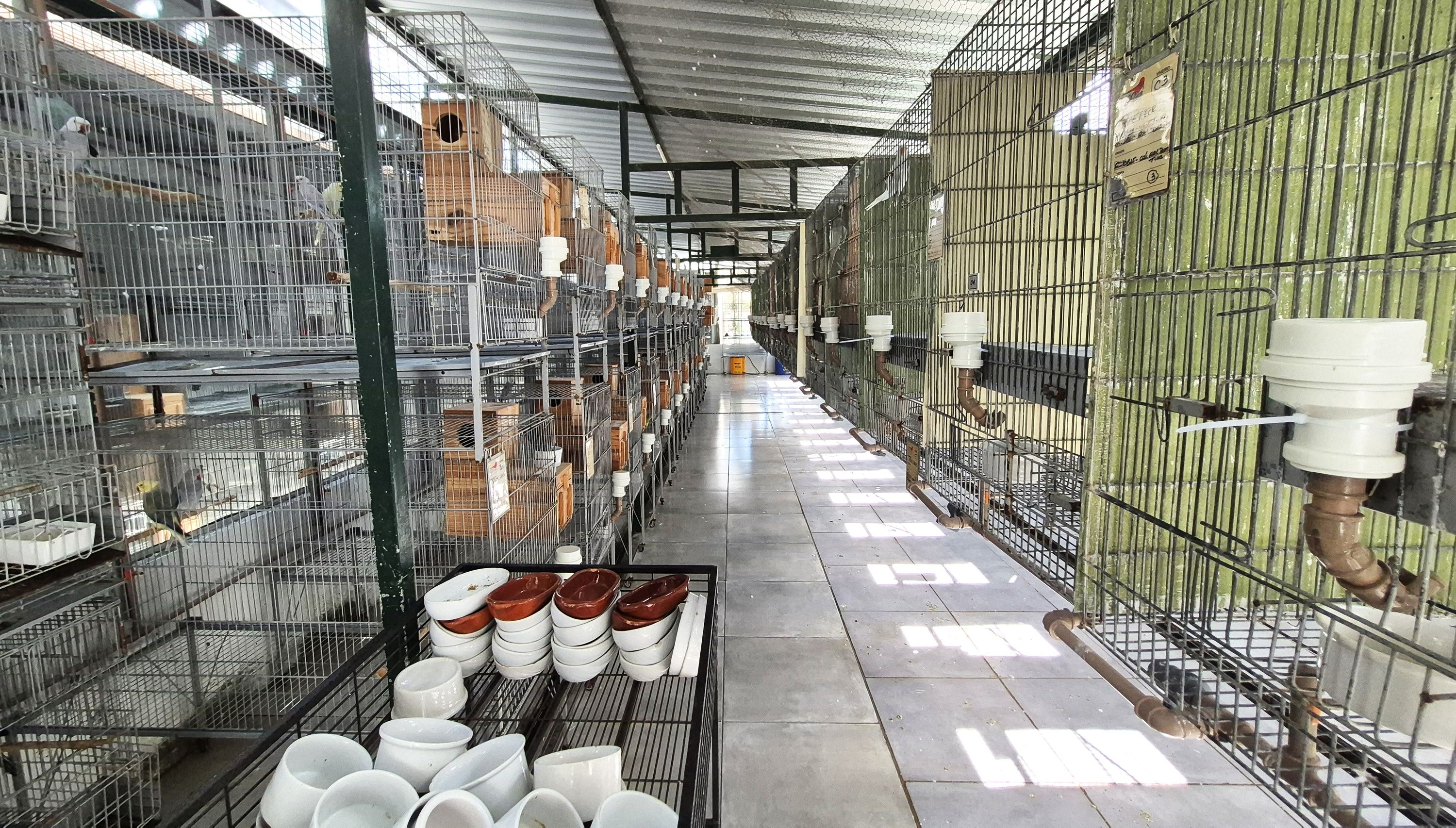 Imagem de perfil de Criadouro Ventura - 4