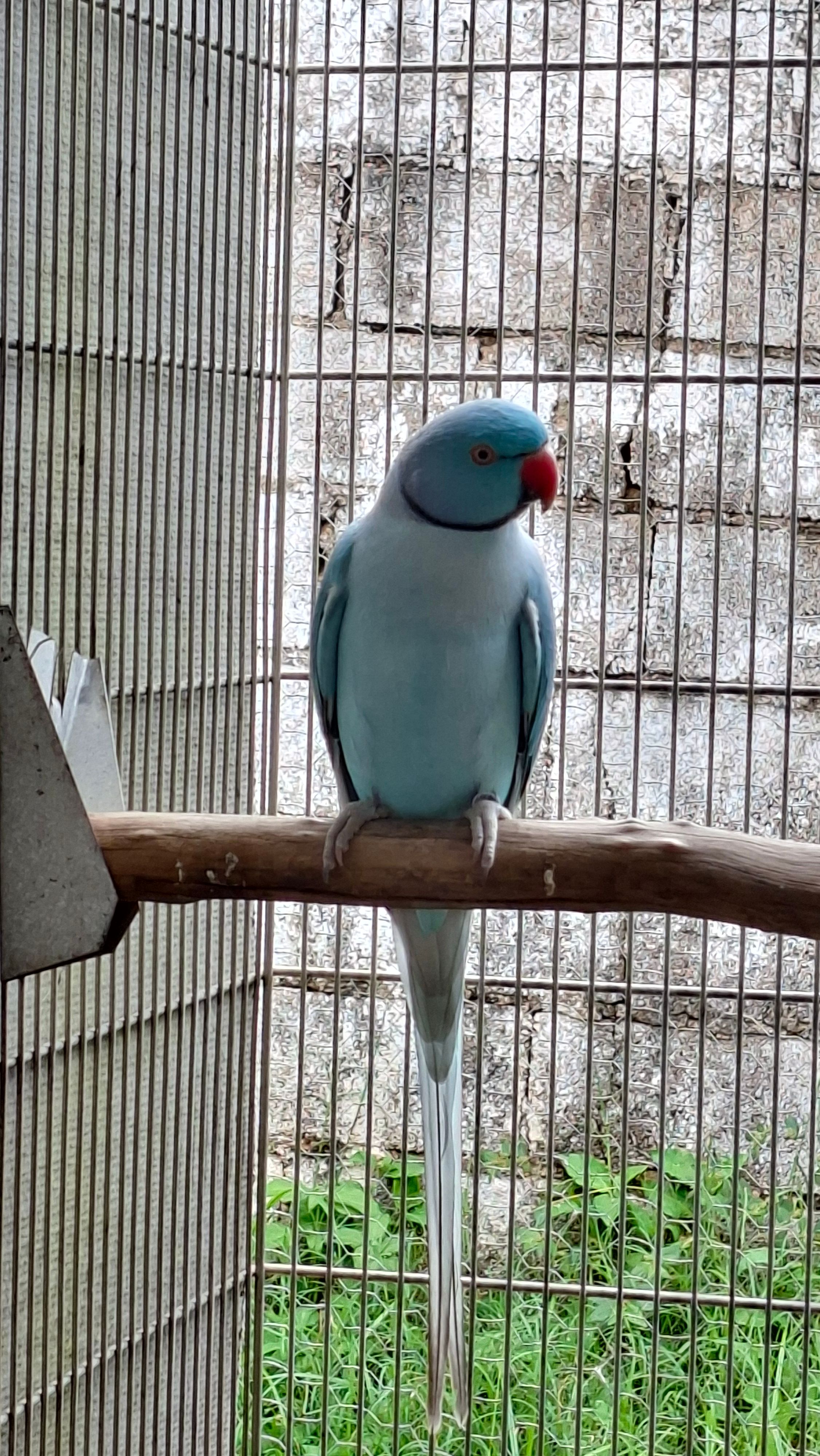 Imagem de perfil de Criadouro Gardens - 2