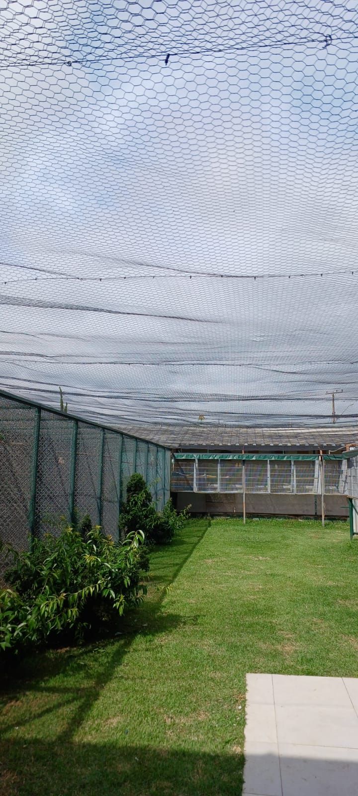 Imagem de perfil de BICO TORTO - Nilton Silva  - 0