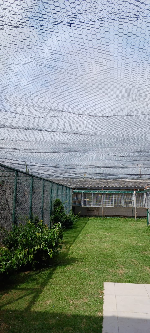 Thumbnail da imagem de perfil de BICO TORTO - Nilton Silva  - 0