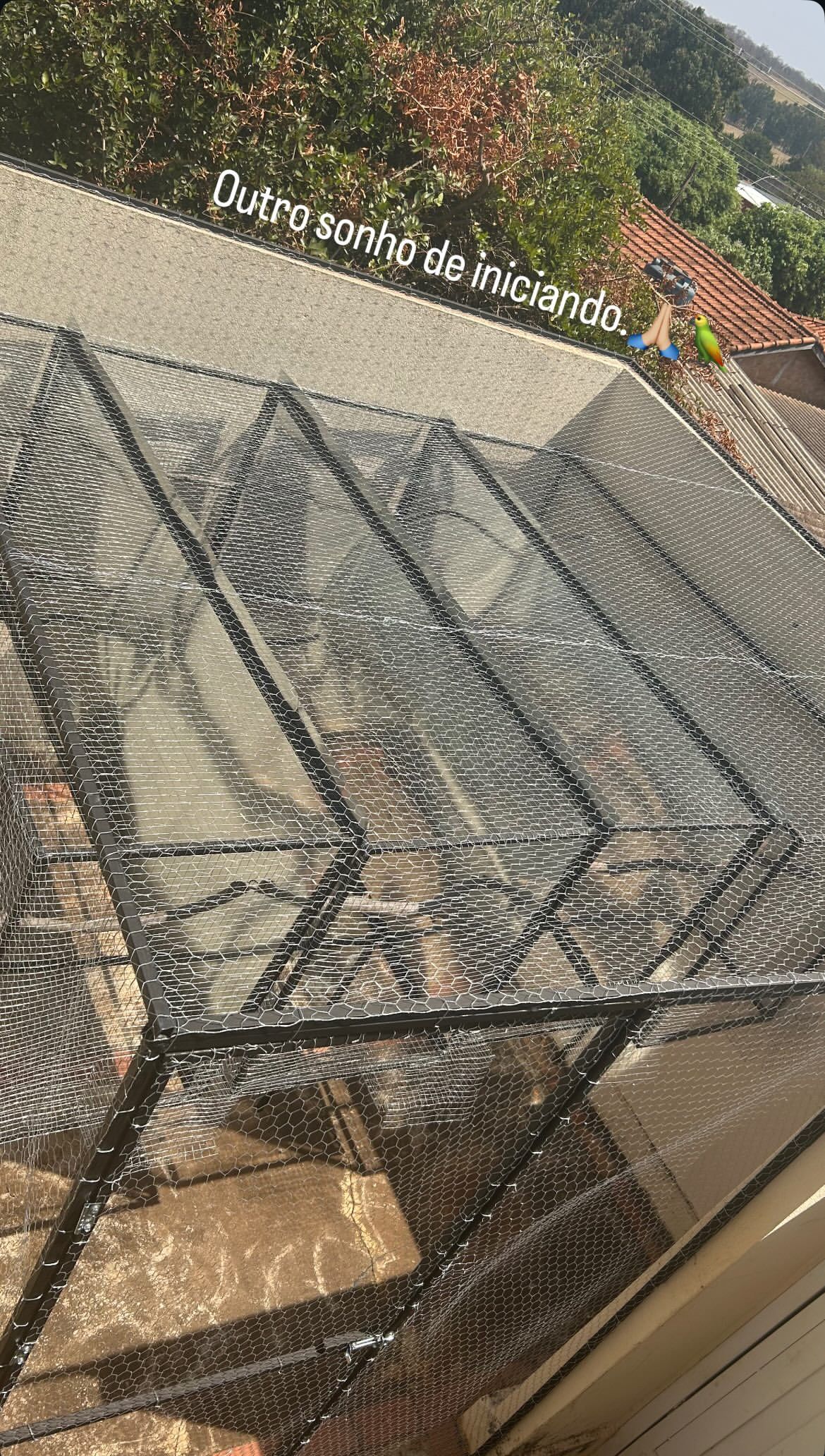 Imagem de perfil de Criadouro_estrela - 0