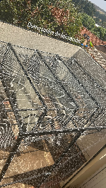 Thumbnail da imagem de perfil de Criadouro_estrela - 0